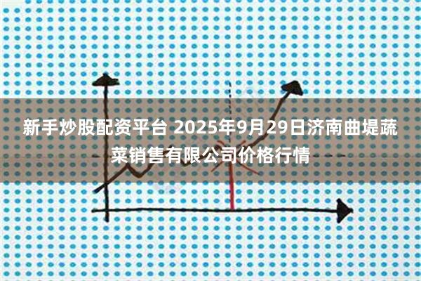 新手炒股配资平台 2025年9月29日济南曲堤蔬菜销售有限公司价格行情