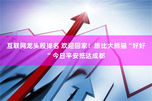 互联网龙头股排名 欢迎回家！旅比大熊猫“好好”今日平安抵达成都